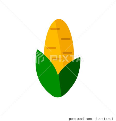 maize corn maize corn 100414801