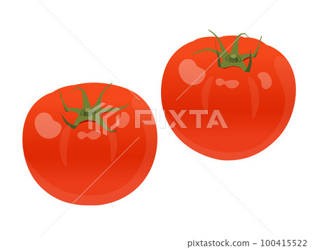 蕃茄 100415522