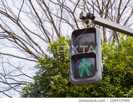 traffic lights traffic lights 100415990