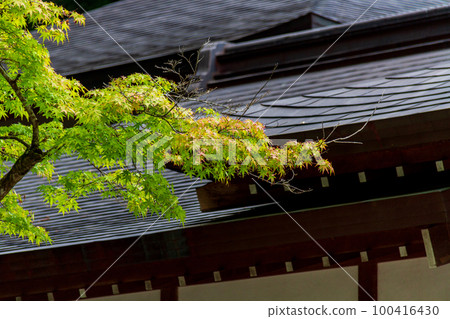Ichinomiya, Mori-machi, Shuchi-gun, Shizuoka Prefecture Okuni Shrine and its precincts 100416430