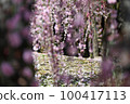 叼著梅花 100417113