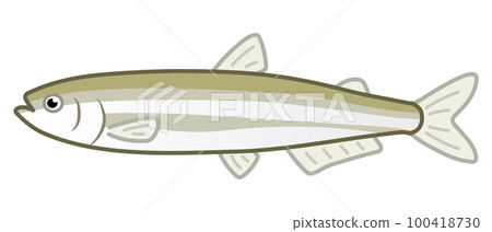 Smelt 100418730