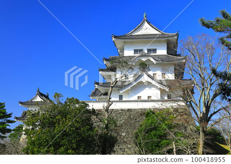 [Mie Prefecture] Iga Ueno Castle in sunny weather 100418955