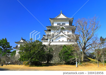 [Mie Prefecture] Iga Ueno Castle in sunny weather 100418956