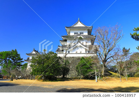 [Mie Prefecture] Iga Ueno Castle in sunny weather 100418957