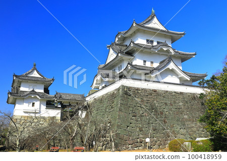 [Mie Prefecture] Iga Ueno Castle in sunny weather 100418959
