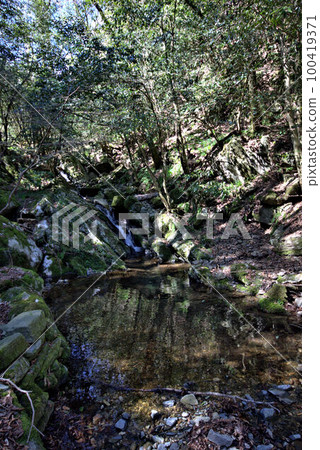 Moss-covered valley mountain climbing Mt. Ibara scenery 100419371