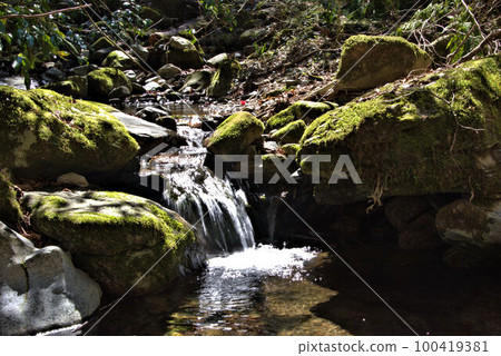 Moss-covered valley mountain climbing Mt. Ibara scenery 100419381