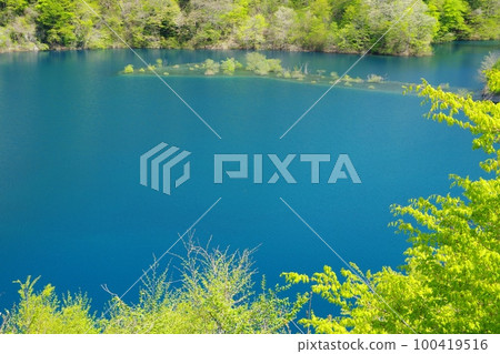 奧島湖浮島,湖面鈷藍色,綠意盎然 奧島湖浮島,湖面鈷藍色,綠意盎然 100419516