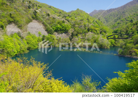 被新綠環繞的奧島湖和赤澤大橋的藍色水面 被新綠環繞的奧島湖和赤澤大橋的藍色水面 100419517