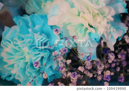 Dyed Carnation Classic Carnation Dyed Kasumi Grass Gypsophila 100419998