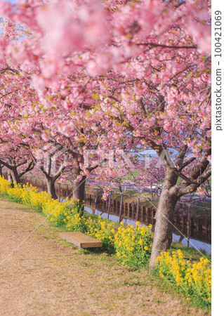 s松川津櫻路 100421069
