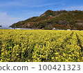 路站原鶴的油菜花田 100421323