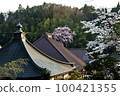 Japanese Cherry Blossom Series Miharu Fukujuji Temple 6 100421355