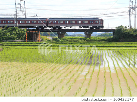 A train on the Kintetsu Kashihara Line runs sideways through rice fields that have been planted. A train on the Kintetsu Kashihara Line runs sideways through rice fields that have been planted. 100422177