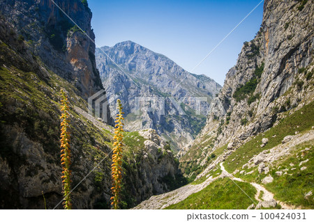 Mountain landscape, Picos de Europa, Asturias, Spain 100424031