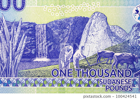 Two farmers ploughing a field with cattle from money Two farmers ploughing a field with cattle from money 100424541