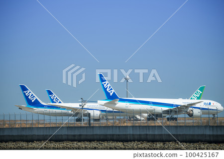 [ANA aircraft from Keihinjima Tsubasa Park] 100425167