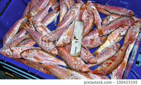 Fish baskets in Fish Market, Aguilas, Spain Fish baskets in Fish Market, Aguilas, Spain 100425595