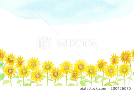 Sunflower flower background painted with watercolors 100426070