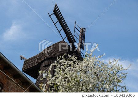 Wooden Mill on blue sky background. Old Windmill at dawn. Windmill farm. Rural landscape village on the hill in Trzew Poland 100429300