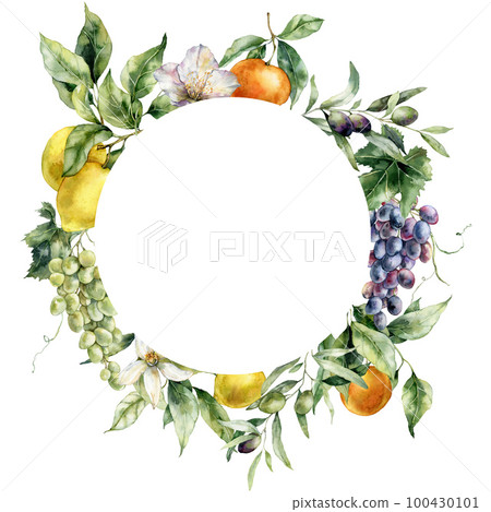 Watercolor tropical circle frame of lemons, flowers, oranges, grapes and leaves. Hand painted branch of fruits isolated on white background. Tasty food illustration for design, print, background. 100430101