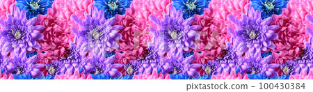 Seamless long banner, bouquet of pink, blue and purple chrysanthemum flower. 100430384