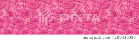 Seamless long banner, Pink peonies in pastel colors close-up 100430396