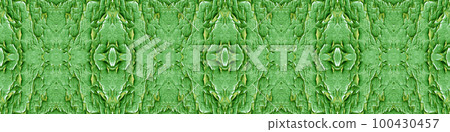 Seamless long banner, Background of old green paint. 100430457