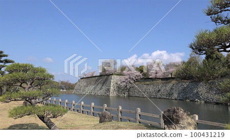 Spring Moment's Himeji Castle Spring Moment's Himeji Castle 100431219
