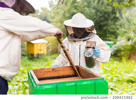 Hivers opening hive and using fumigator Hivers opening hive and using fumigator 100431982
