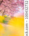 Kasamatsu Kawazu Sakura Road 100432732