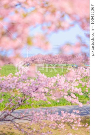 s松川津櫻路 100433367