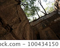 quarry forest 100434150
