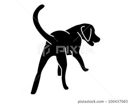 Silhouette of a Labrador Retriever walking away from behind (black) 100437065