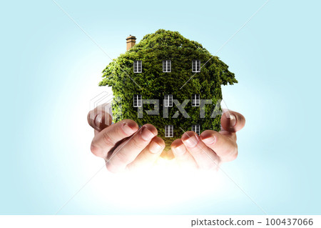 Hand holding green house . Mixed media 100437066