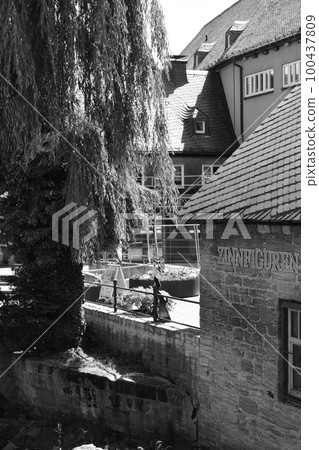 Trees and view of the old mill with the pewter figurine museum in Goslar, Germany Trees and view of the old mill with the pewter figurine museum in Goslar, Germany 100437809
