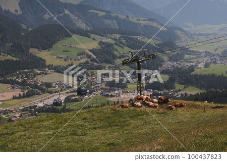 Beautiful scenic view of the alpine mountains and a herd of brown cows in Austria 100437823