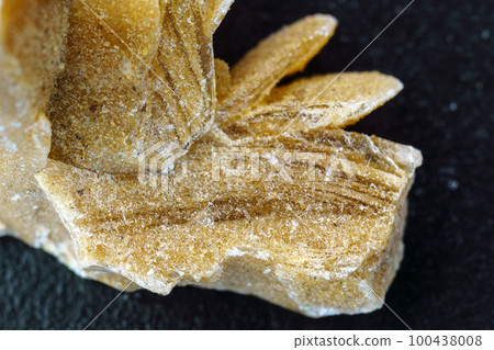 Desert Rose. Natural mineral close up of stone cluster from sand gypsum crystal. Macro 100438008