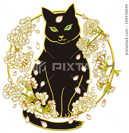 櫻花和貓_正面圖_黑貓_透明背景 100438049