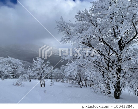2023 年 2 月福島縣阿爾茨萬代滑雪場的滑雪坡頂 2023 年 2 月福島縣阿爾茨萬代滑雪場的滑雪坡頂 100438843