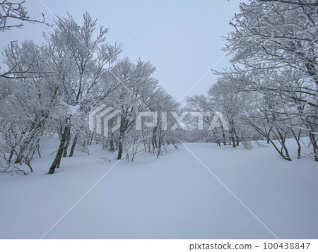 2023 年 2 月福島縣阿爾茨萬代滑雪場的滑雪坡頂 2023 年 2 月福島縣阿爾茨萬代滑雪場的滑雪坡頂 100438847