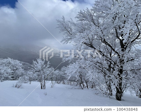 2023 年 2 月福島縣阿爾茨萬代滑雪場的滑雪坡頂 2023 年 2 月福島縣阿爾茨萬代滑雪場的滑雪坡頂 100438848