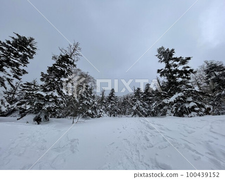 2023 年 2 月福島縣阿爾茨萬代滑雪場的滑雪坡頂 100439152