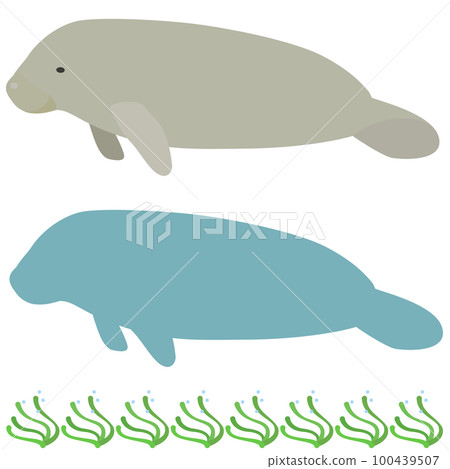 Manatee cartoon style illustration and silhouette icon, eelgrass border decoration set Manatee cartoon style illustration and silhouette icon, eelgrass border decoration set 100439507