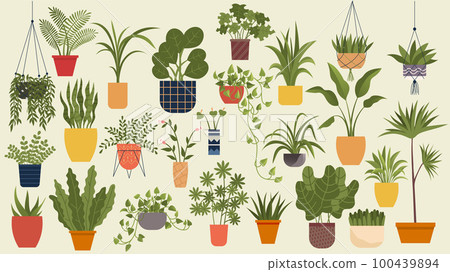 Plant in pot vector flowerpots set. Cartoon flat different indoor potted decorative houseplants 100439894