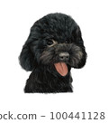 Realistic black poodle 100441128