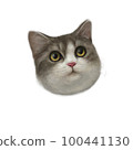Realistic cat avatar 100441130