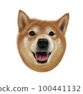 Realistic Shiba Inu head portrait 100441132