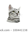 Realistic cat avatar 100441138